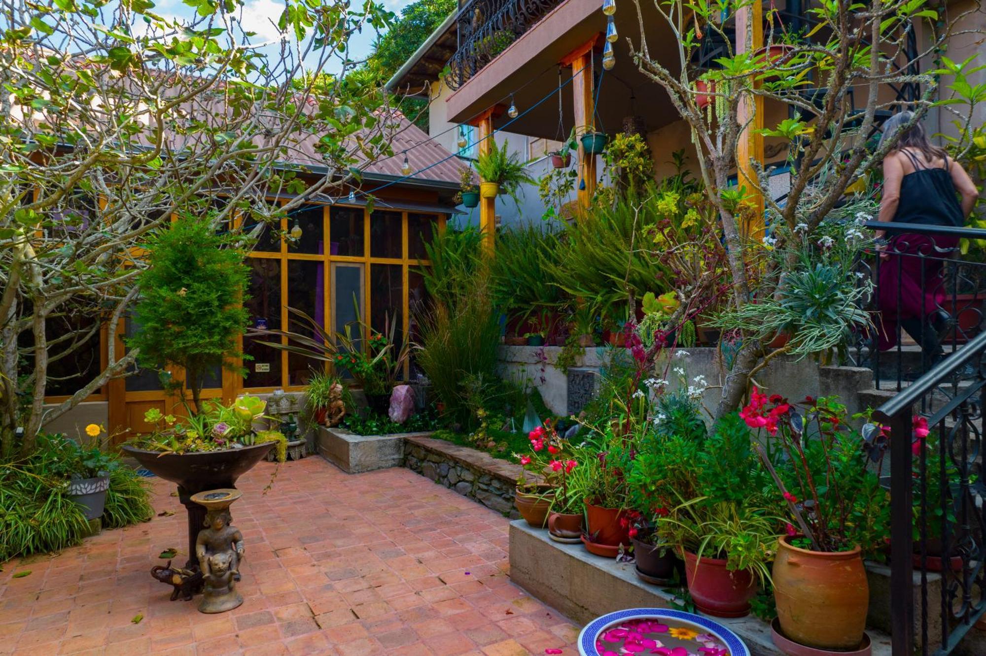 Twelve Hummingbirds Andes Retreat Hotel Paute Exterior photo